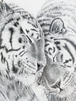 Amur Tigers - wildlife art print - collaboration with  La Fondation du Zoo de Granby