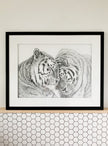 Amur Tigers - wildlife art print - collaboration with  La Fondation du Zoo de Granby