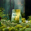 Tisane en sachets - Aronia, aulne & feuilles du Labrador