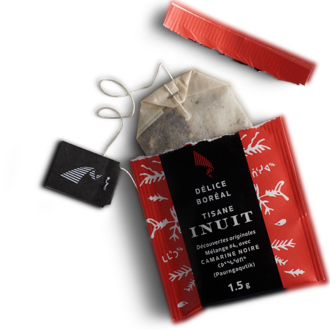 Tisane Inuit - Camarine noire (Pauranagaqutik)