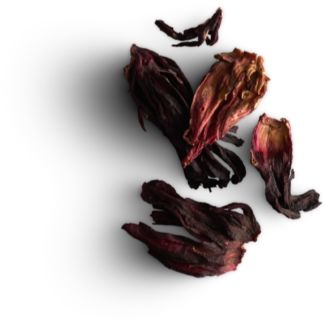 Tisane Inuit - Camarine noire (Pauranagaqutik)