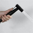Toilet Spray Cleaner Stainless Steel Toilet Gun Set For Domestic Use