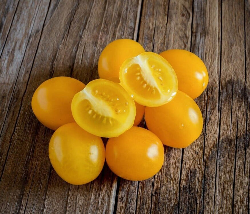 TOMATES CERISES DATTERINO BIOLOGIQUES