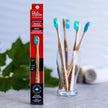 Toothbrush - Maple Wood