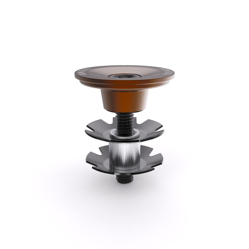 Top Cap and Bolt