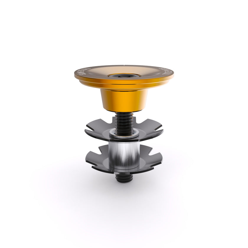 Top Cap and Bolt