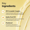 Torriden Solid-In Ceramide Cream 70ml