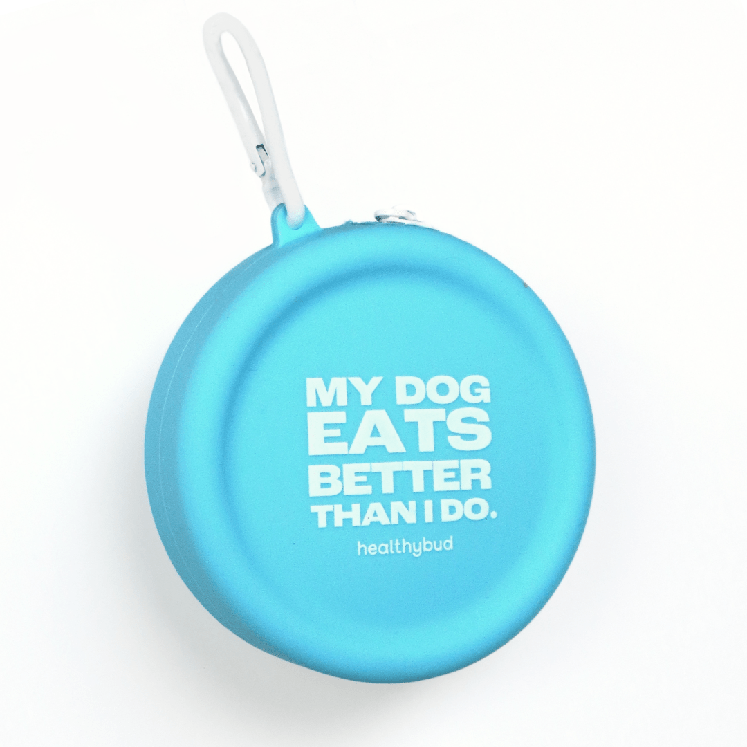 Training Treat Pouch