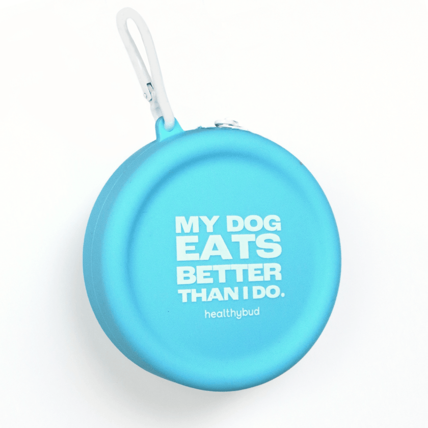Training Treat Pouch