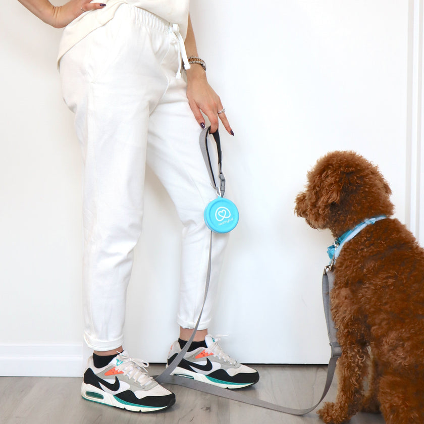 Training Treat Pouch