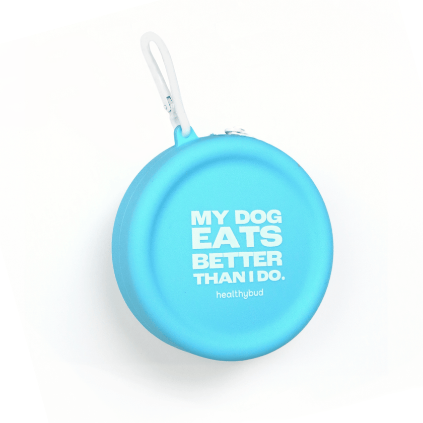 Training Treat Pouch