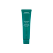 Traitement fortifiant sans rinçage Botanical Repair