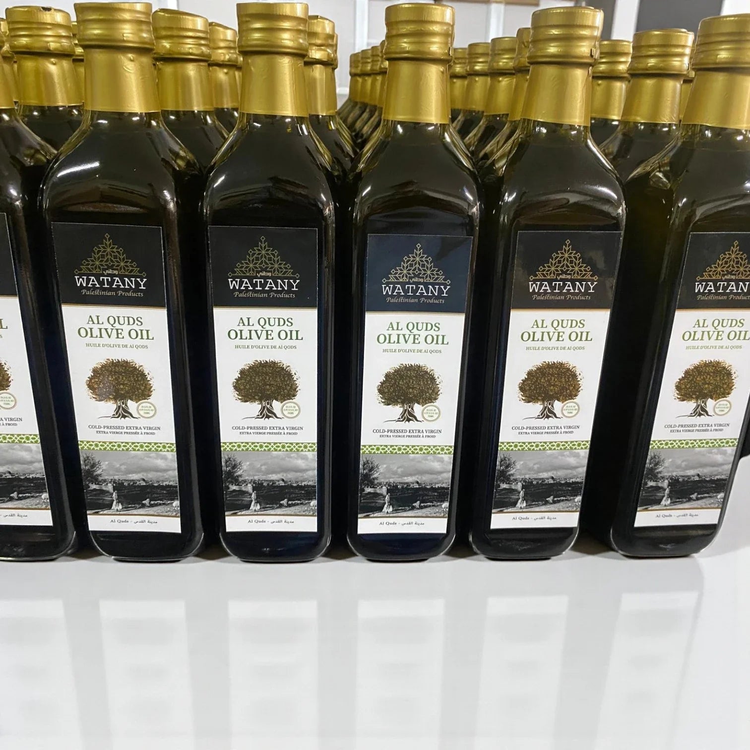 Al Quds Palestinian Olive Oil – Premium Extra Virgin Olive Oil (750 ml, 1 L & 16 L Options)