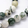 Green Tree Agate Gemstone Bead