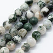Green Tree Agate Gemstone Bead