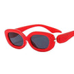 Trendy Oval Small Frame Sunglasses for Men & Women