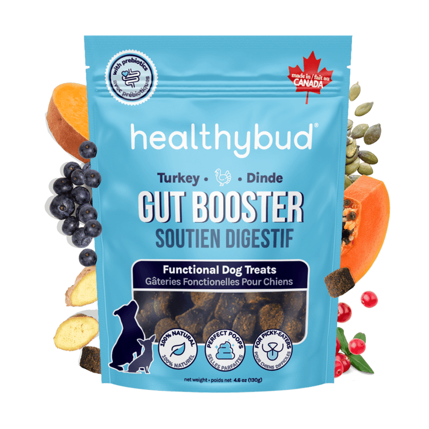 Turkey Gut Booster