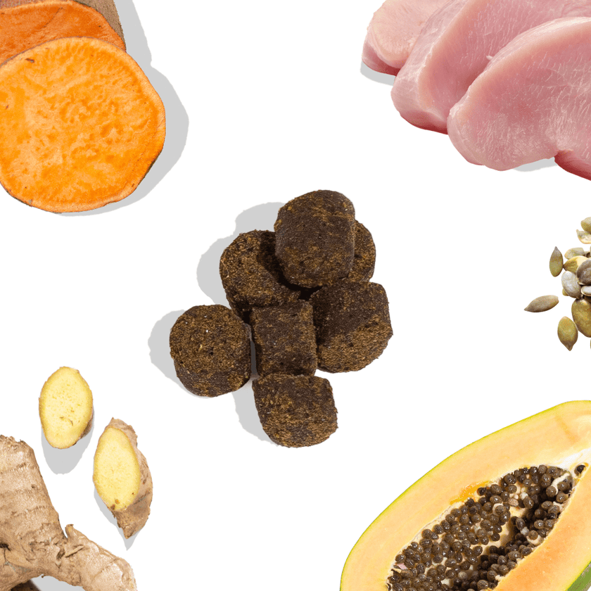 Turkey Gut Booster