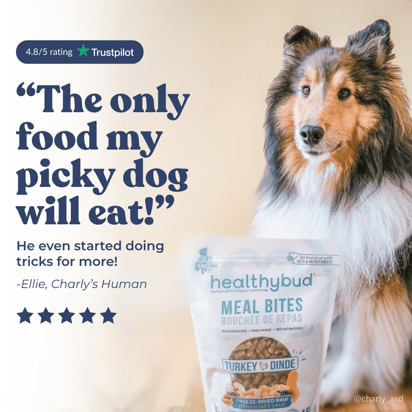 Turkey Meal Bites