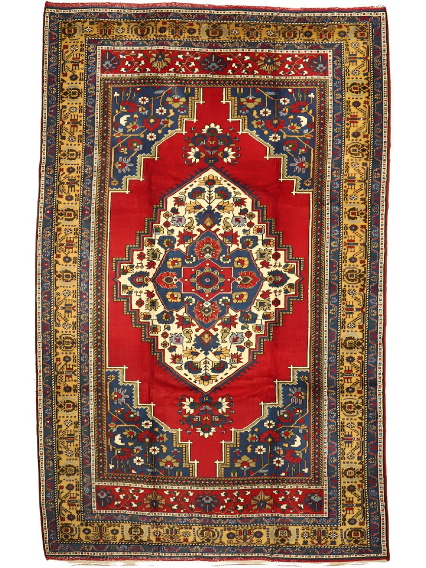 Turkish Taspinar Rug | 10' 2 x 6' 6
