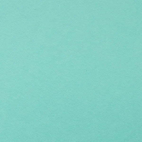 Clairefontaine - Maya Cardstock 120lb Paper - 20x28