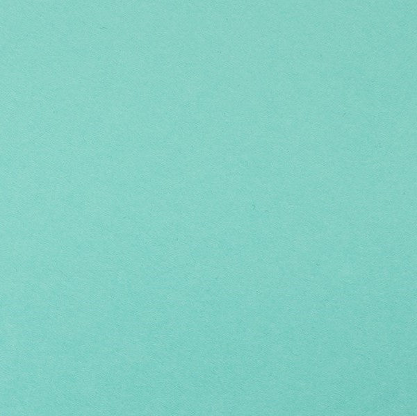 Clairefontaine - Maya Cardstock 120lb Paper - 8¼x11¾