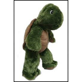 Sing Your Name - Turtle