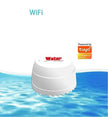 Tuya WiFi Smart Leakage  Sensor Alarm Home Overflow Flood Detector With Buzzer