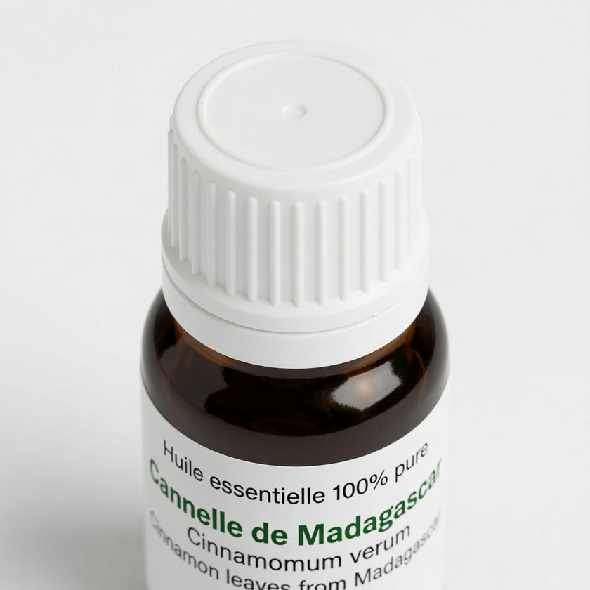 Cannelle de Madagascar