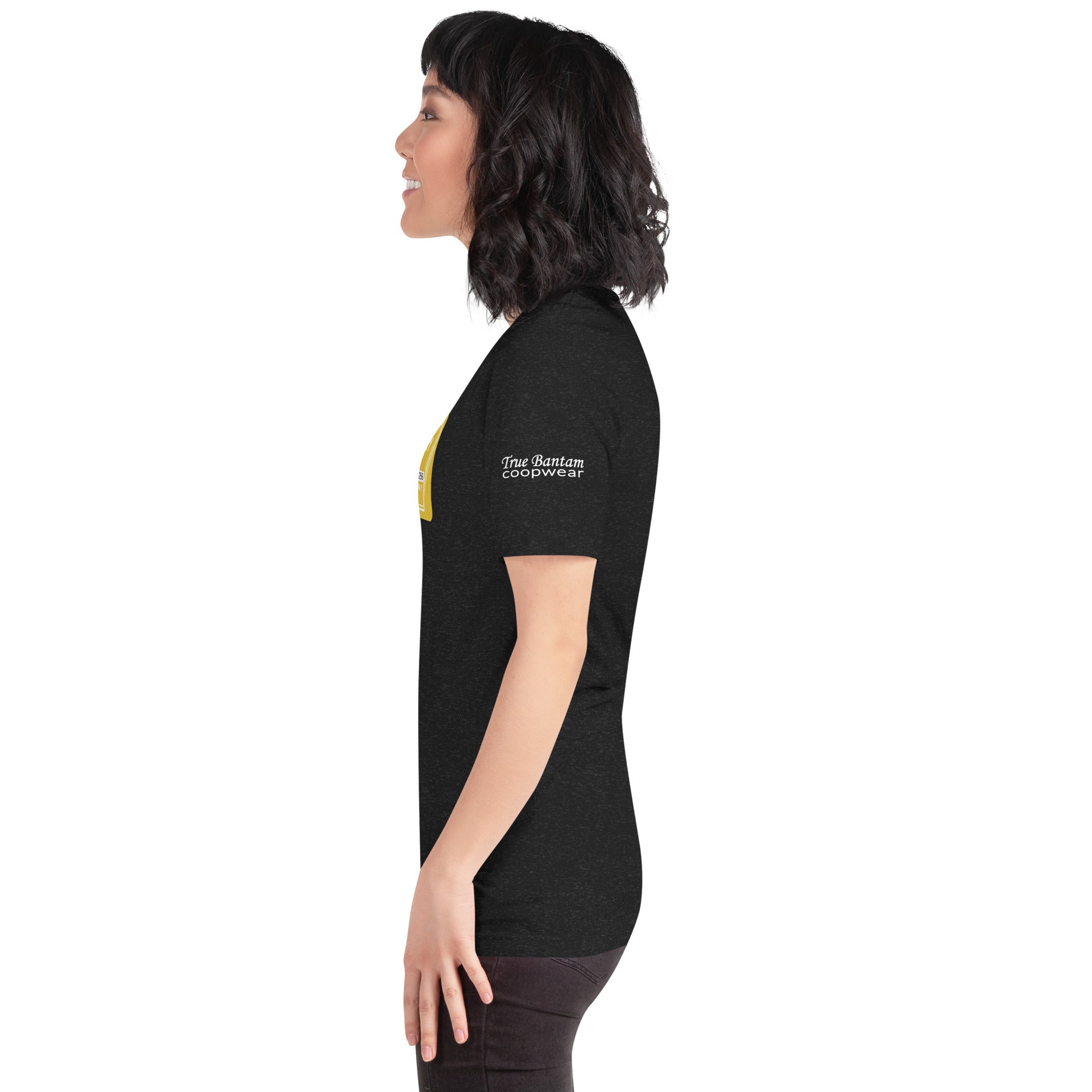 Retro Pickwick Logo Unisex t-shirt