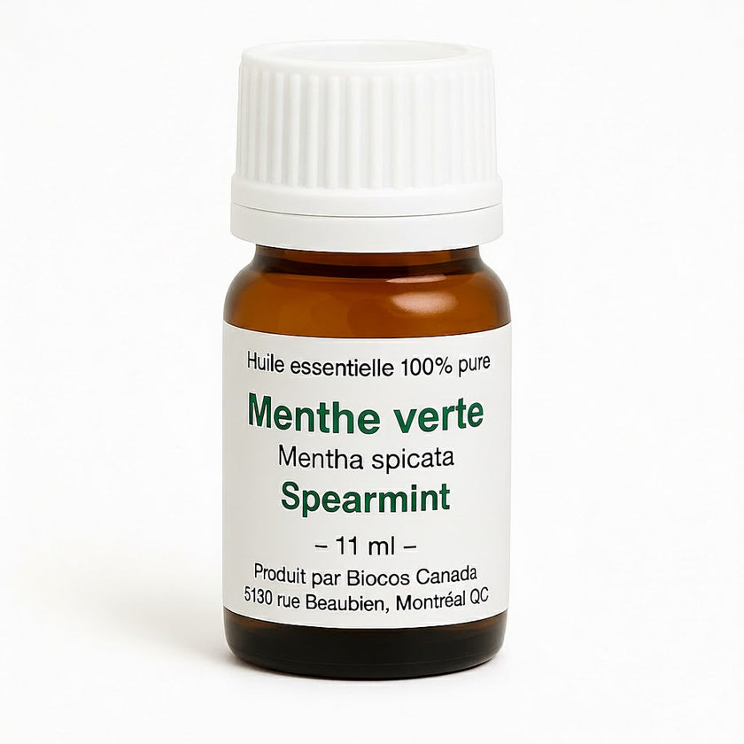 Menthe verte