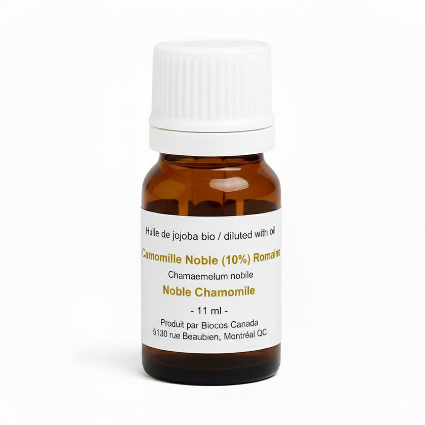 Camomille Noble