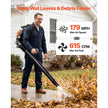 75.6cc 4-Stroke Gas Backpack Leaf Blower – 615 CFM, 179 MPH with 1.8L Fuel Tank