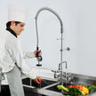 VEVOR Commercial Faucet with Pre-Rinse Sprayer, 44