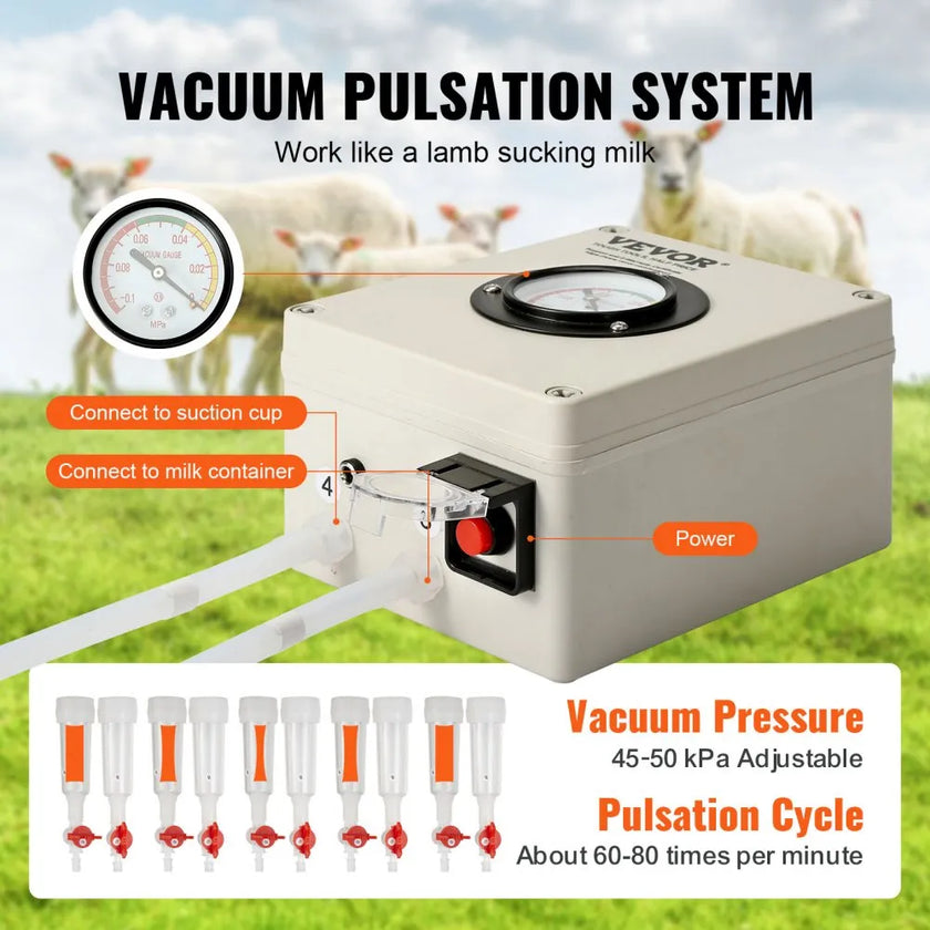 VEVOR Goat Milking Machine, 12 L 304 Stainless Steel Bucket, Electric Automatic Pulsation Vacuum Milker, Portable Milker with Food-grade Silicone Cups and Tubes, Adjustable Suction for Cows and Sheep