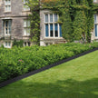VEVOR Steel Landscape Edging, 6-pack Steel Garden Edging Borders, 40