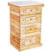 VEVOR Bee Hive 40 Frame Bee Hives Starter Kit, Beeswax Coated Cedar Wood, 2 Deep + 2 Medium Bee Boxes Langstroth Beehive Kit, Transparent Acrylic Windows with Foundations for Beginners Pro Beekeepers