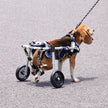 VEVOR 2 Wheels Dog Wheelchair for Back Legs, Pet Wheelchair Lightweight & Adjustable Assisting in Healing,  Dog Cart/Wheelchair for Injured, Disabled, Paralysis, Hind Limb Weak Pet(XS)