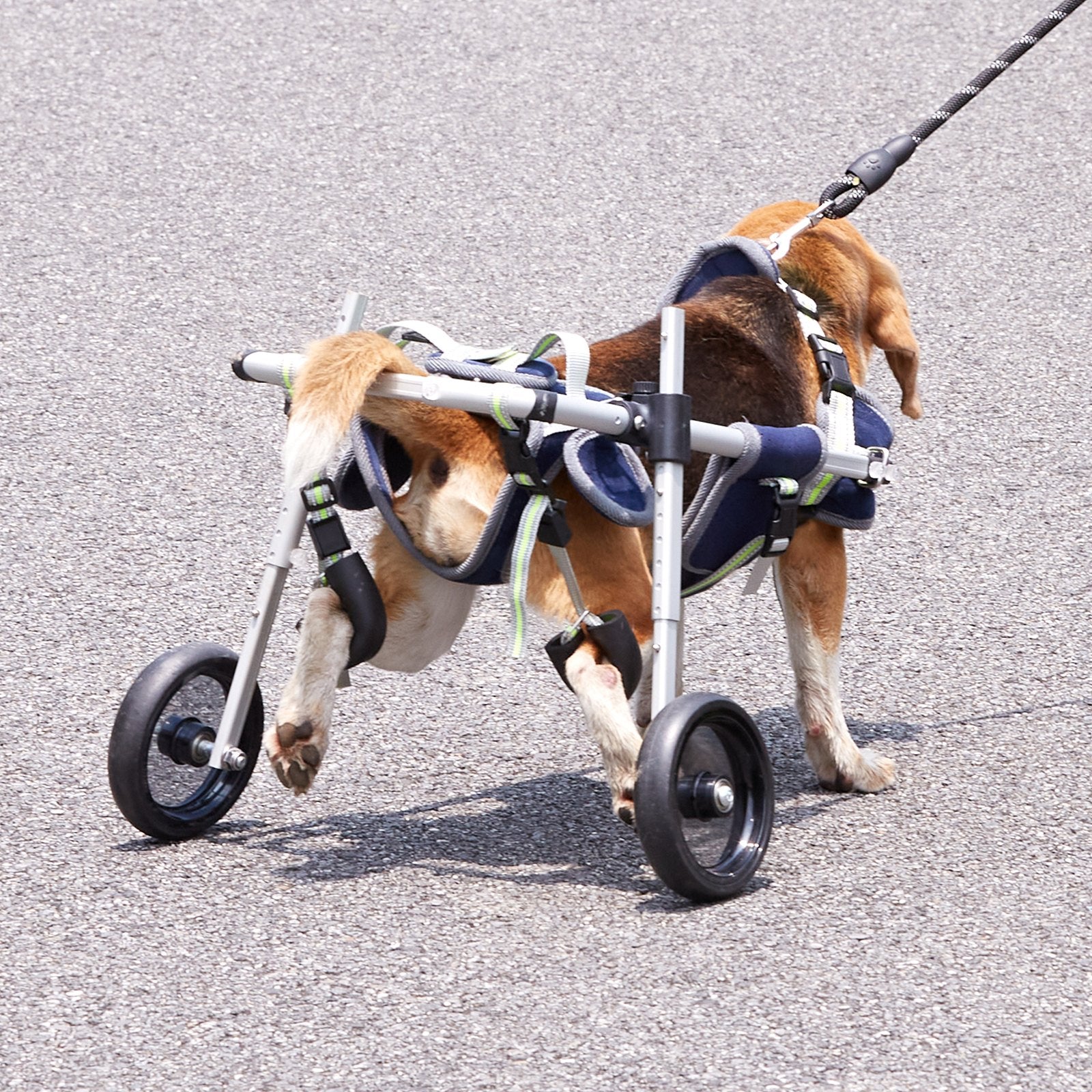 VEVOR 2 Wheels Dog Wheelchair for Back Legs, Pet Wheelchair Lightweight & Adjustable Assisting in Healing,  Dog Cart/Wheelchair for Injured, Disabled, Paralysis, Hind Limb Weak Pet(S)
