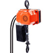 VEVOR Electric Chain Hoist, 330 lbs Load Capacity, 10 ft Lifting Height, 10 ft/min Speed, 120V, Single Phase Overhead Crane with G80 Chain, 10 ft Wired Remote Control for Garage, Shop, Hotel, and Home