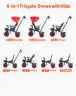 6-in-1 Toddler Tricycle & Stroller with Push Handle (Red/Black)