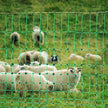 VEVOR Electric Fence Netting, 42