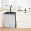 VEVOR Beer Kegerator Draft Beer Dispenser Full Size Keg Refrigerator Dual Tap