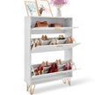 VEVOR Shoe Cabinet with 3 Flip Drawers, Shoe Storage Cabinet for Entryway, Free Standing Shoe Storage Organizer for Heels, Boots, Slippers in Hallway, Living Room