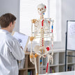 VEVOR Human Skeleton Model for Anatomy, 71.65