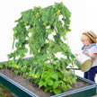 VEVOR A-Frame Cucumber Trellis 35