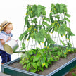 VEVOR A-Frame Cucumber Trellis 39