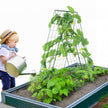 VEVOR A-Frame Cucumber Trellis 46