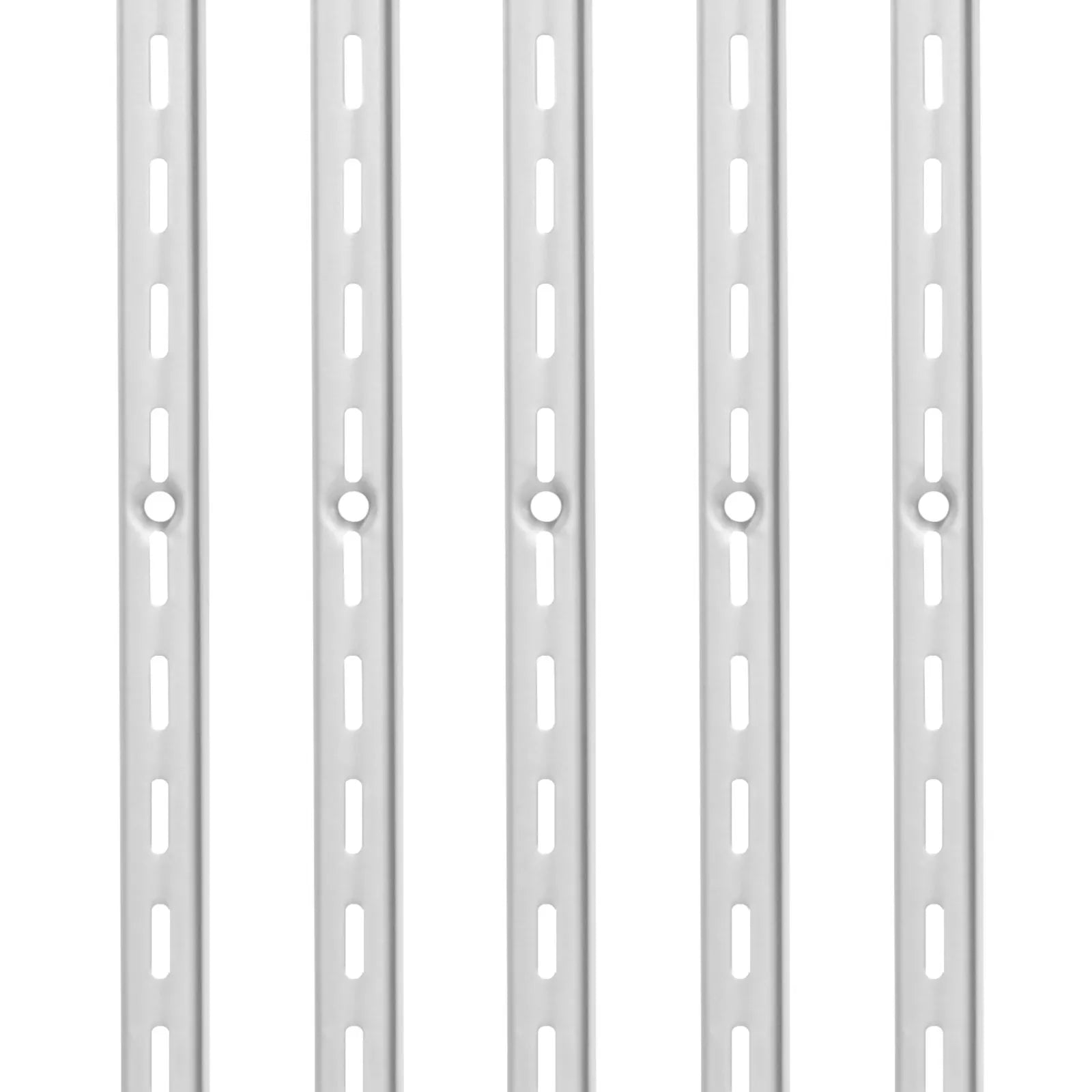 VEVOR Shelf Track 39-inch 10 Pack Adjustable Steel Wall Mounted Shelf Pilaster