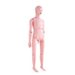 VEVOR Nursing Training Manikin, Male Life Size Demonstration Human Manikin for Nursing Training, Multifunctional Education Teaching Model Supplies, PVC Anatomical Mannequin Body Care Simulator Model